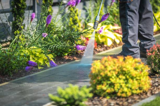 Best Patio and Deck Pressure Washing  in Soh Ogden, UT
