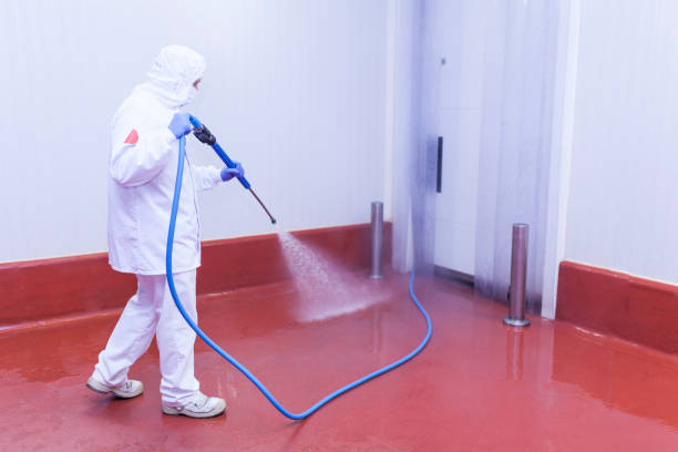 Best Spring Cleaning  in Soh Ogden, UT